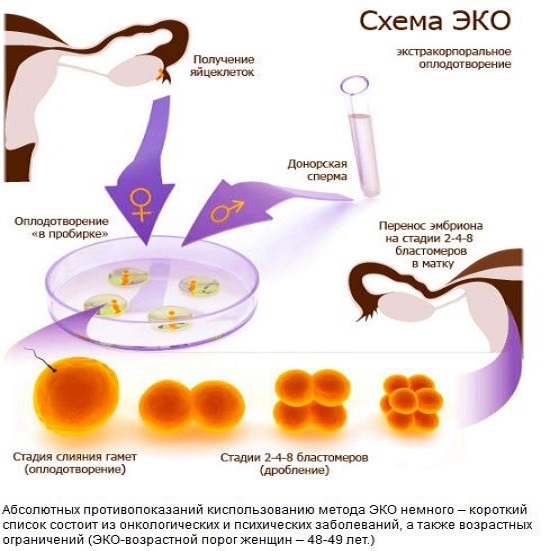 Можливі ускладнення і їх профілактика