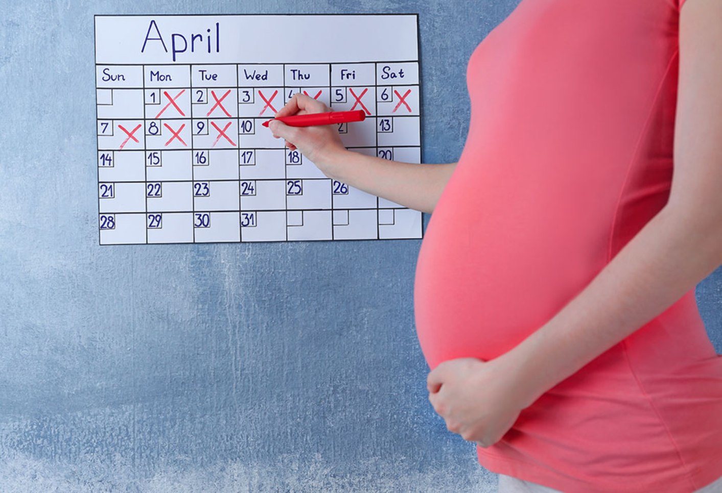 11 неделя календаря. Календарь беременности. Календарь беременной женщины. Срок беременности. Беременность по неделям.