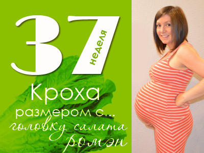 37 недель беременности сколько месяцев